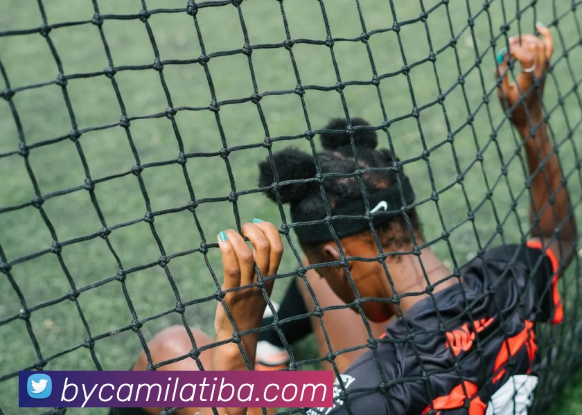 奖项证书
